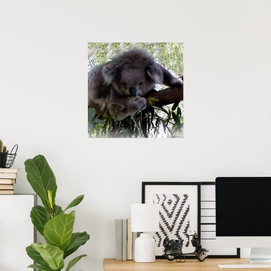 Cudly Koala Poster (Thuiskantoor)