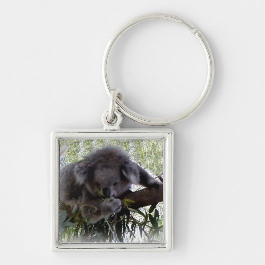 Cudly Koala Sleutelhanger (Voorkant)