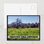 Cuesta Park Annex, Mountain Uitzicht, Californië Briefkaart (Voorkant / Achterkant)