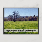 Cuesta Park Annex, Mountain Uitzicht, Californië Briefkaart (Voorkant)