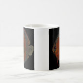 Cuipeua discus magische mok (Center)