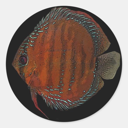 Cuipeua discus ronde sticker (Voorkant)