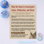 Culex, Wolbachia, en Vogels door RoseWrites Flyer (Enkel)