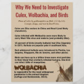 Culex, Wolbachia en vogels van RoseWrites Flyer (Voorkant)