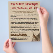 Culex, Wolbachia en vogels van RoseWrites Flyer (Hand)