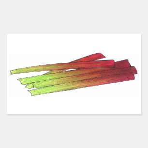 Culinaire Rhubarb Stalks Vegetable Garden Food Veg Rechthoekige Sticker