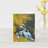 Cullasaja Kaart (Gele Bloem)