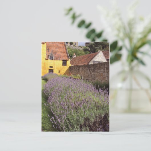Culross Palace - The Front Garden Briefkaart (Staand voorkant)