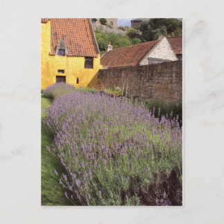 Culross Palace - The Front Garden Briefkaart