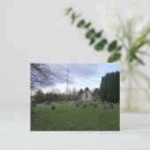 Culross West Kirk: Outlander Film Location in Fife Briefkaart (Staand voorkant)