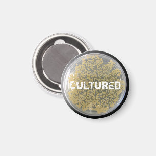 "Cultured" Bacteria Cultuur Bord Magnet