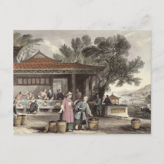 Cultuur en voorbereiding van thee uit 'China in Briefkaart (Voorkant)