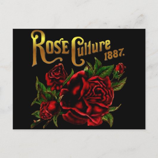 Cultuur van het roos 1887 briefkaart (Voorkant)