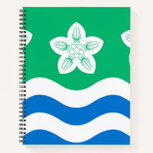 Cumberland (graafschap in VK)