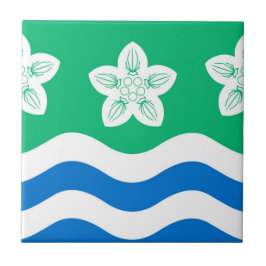 Cumberland (graafschap in VK) Tegeltje