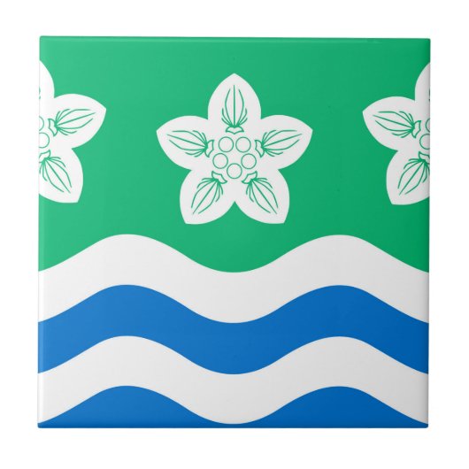 Cumberland (graafschap in VK) Tegeltje (Voorkant)