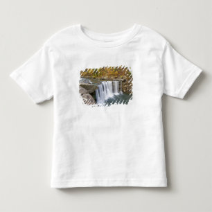 Cumberland Herfst State Park bij Corbin Kentucky Kinder Shirts