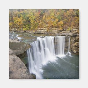 Cumberland Herfst State Park bij Corbin Kentucky Magneet