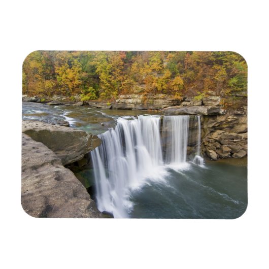 Cumberland Herfst State Park bij Corbin Kentucky Magneet (Horizontaal)