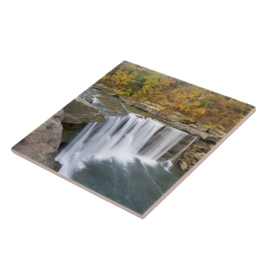 Cumberland Herfst State Park bij Corbin Kentucky Tegeltje (Zijkant)