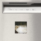 Cumberland Herfsten, KY Magneet (Insitu (Vaatwasser))