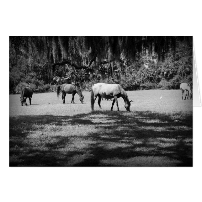 Cumberland in het zwart (Voorkant Horizontaal)