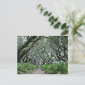 Cumberland Island Briefkaart (Staand voorkant)