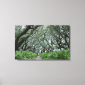 Cumberland Island Canvas Afdruk (Voorkant)