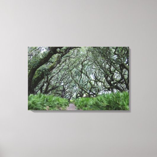 Cumberland Island Canvas Afdruk (Voorkant)