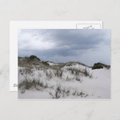 Cumberland Island Dunes Briefkaart (Voorkant / Achterkant)