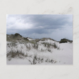 Cumberland Island Dunes Briefkaart