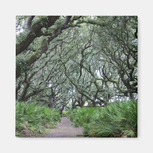 Cumberland Island Magneet