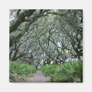 Cumberland Island Magneet