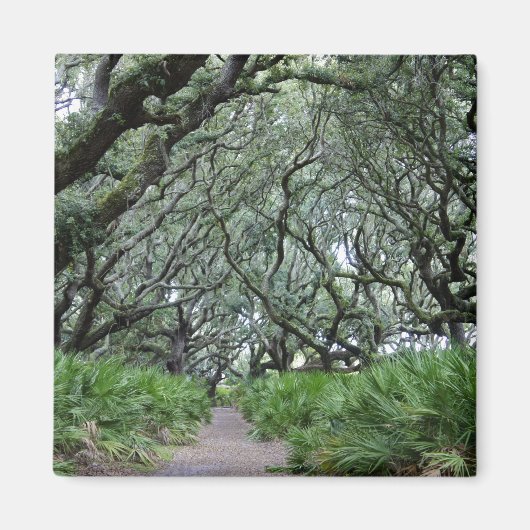 Cumberland Island Magneet (Voorkant)