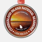 Cumberland Island National Seashore Metalen Ornament (Voorkant)