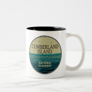 Cumberland Island National Seashore Ocean Birds Tweekleurige Koffiemok