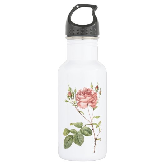 Cumberland roos van Redouté Waterfles (Voorkant)