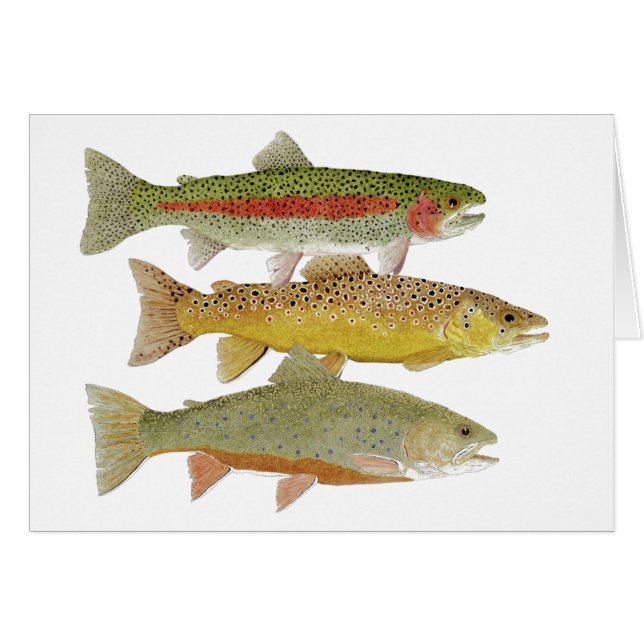 Cumberland vallei forel onbeperkte kaart (Voorkant Horizontaal)