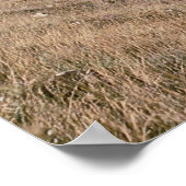 Cumbres and Toltec Railroad, No. 487 en No. 484 m, Poster (Hoek)