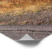 Cumbres and Toltec Railroad, nr. 487 en nr. 484, Poster (Hoek)