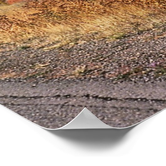 Cumbres and Toltec Railroad, nr. 487 en nr. 484, Poster (Hoek)