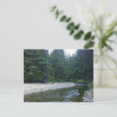 Cummins Creek in Neptune State Park, OF Briefkaart (Staand voorkant)