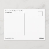 Cummins Creek in Neptune State Park, OF Briefkaart (Achterkant)