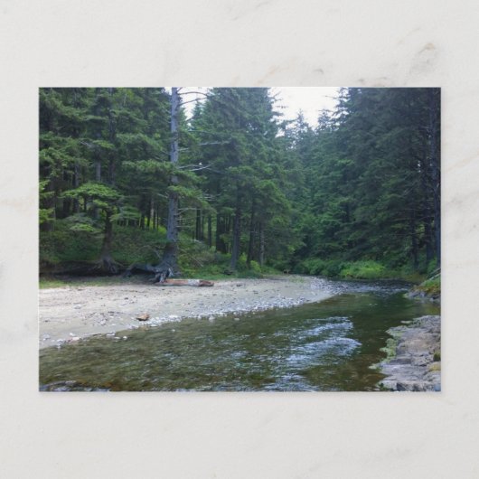 Cummins Creek in Neptune State Park, OF Briefkaart (Voorkant)