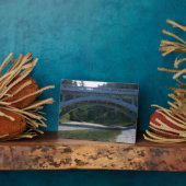 Cummins Creek in Neptune State Park, OF Fotoplaat (Zijkant)