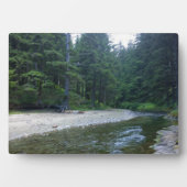 Cummins Creek in Neptune State Park, OF Fotoplaat (voorkant)