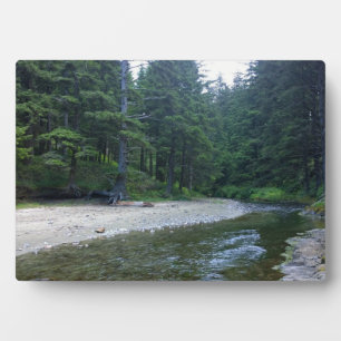 Cummins Creek in Neptune State Park, OF Fotoplaat