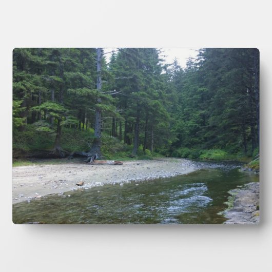 Cummins Creek in Neptune State Park, OF Fotoplaat (voorkant)