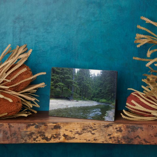 Cummins Creek in Neptune State Park, OF Fotoplaat (Zijkant)