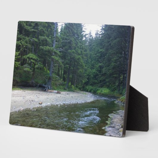 Cummins Creek in Neptune State Park, OF Fotoplaat (Zijkant)